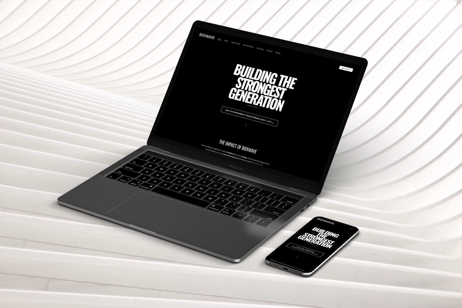 Boxwave website